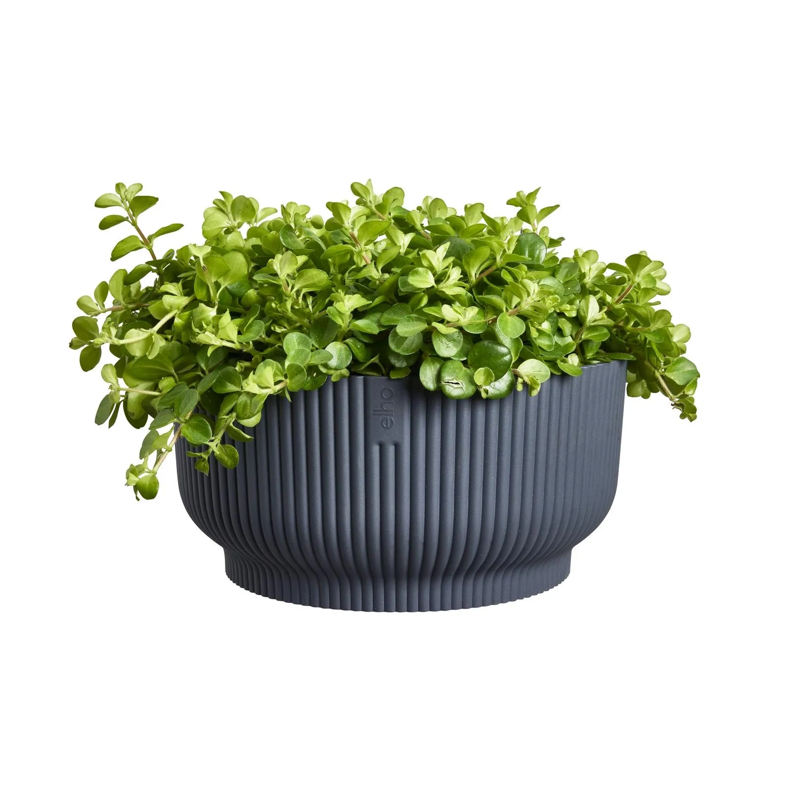 misa antracytowa Vibes Bowl