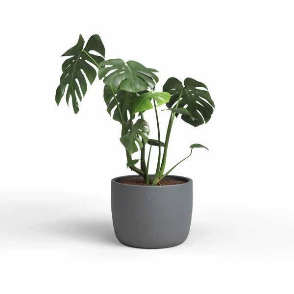 Urania 37/34 duża osłonka antracytowa ceramiczna