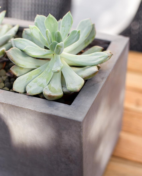 DIVISION PLUS 80x23/23 donica betonowa wąska prostokątna szara naturalny beton