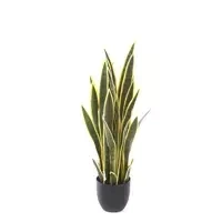 Sztuczna Sanseveria laurentii 90 cm zielono-żółta