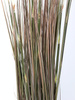 Sztuczna trawa pampasowa z kłosami wysoka 120 cm