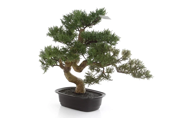 Sztuczny Bonsai Cedr 40x40 cm w doniczce