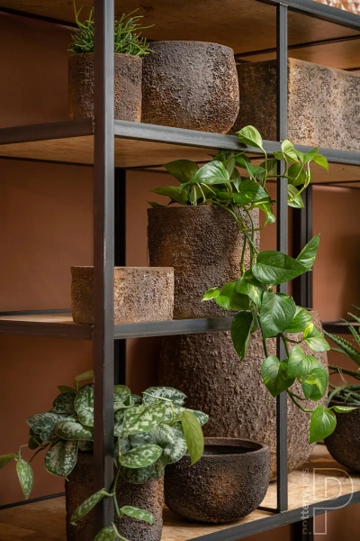 Mini Jort XS 30x15/16 naturalna brązowa osłonka na parapet ostryga oyster