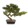 Sztuczny Bonsai Pinia Sosna 44 cm w czarnej doniczce