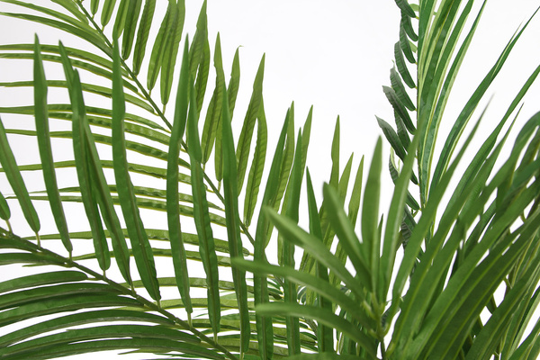 Sztuczna palma Areka 180 cm