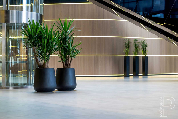 Pax XL 66/67 duża donica kamienna czarna