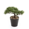 Sztuczny Bonsai Cedr 18 cm