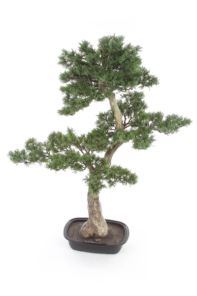 Sztuczny Bonsai Pinia 80x110 cm