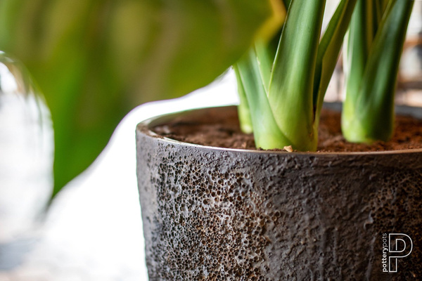 Bernd L 53/60 naturalna brązowa donica ostryga / oyster