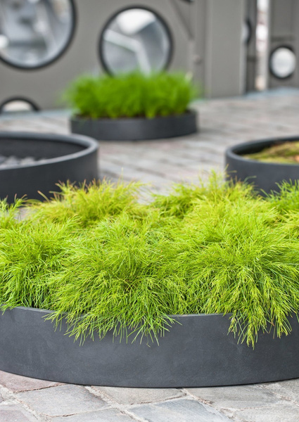 Max Low S 40/9 czarna doniczka kamienna płaska