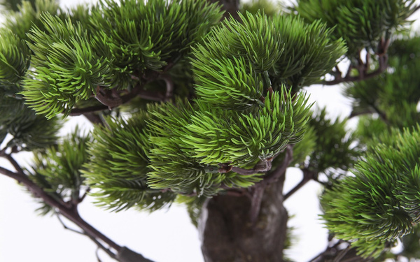 Sztuczne drzewko Bonsai Sosna Pinia 110 cm