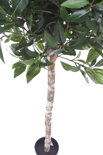 Sztuczne drzewko laurowe De Luxe 140 cm 1036 liści