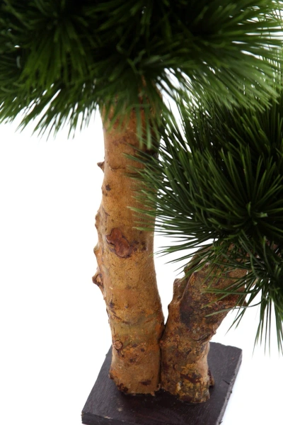 Sztuczny Bonsai Pinia 55 cm UV grube drewniane pnie