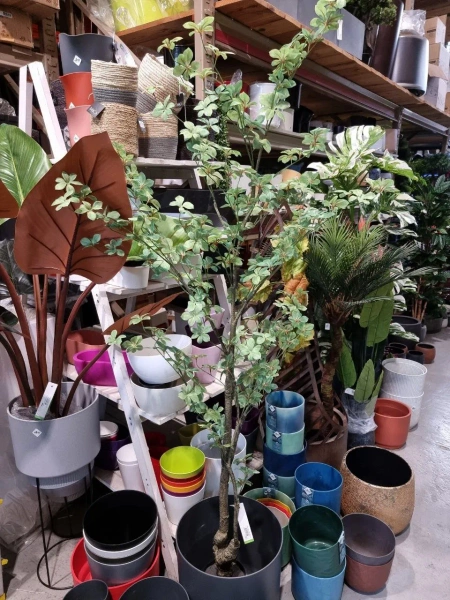 Sztuczna Nasturcja drzewko 185 cm