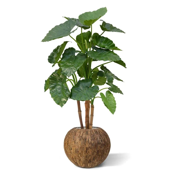 Sztuczna Alokazja Calidora 125 cm deluxe
