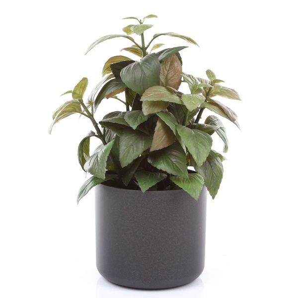 ONO 11/10 osłonka walec antracytowa