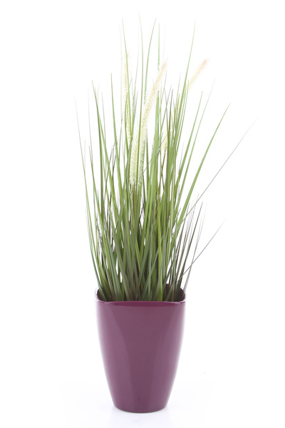 Quarta Orchid 13/17 ciemnofioletowa ceramiczna osłonka do storczyków