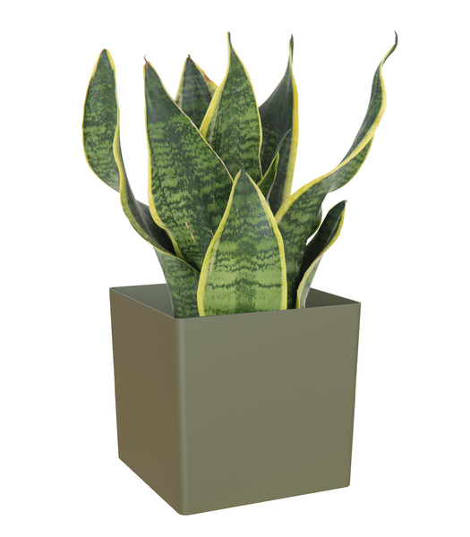 OSLO 11x11/11 doniczka kwadratowa kubik zielona dry green