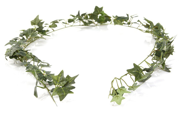 Sztuczny bluszcz hedera girlanda 180 cm 168 liści