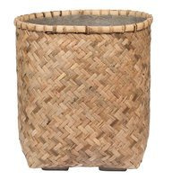 bamboo