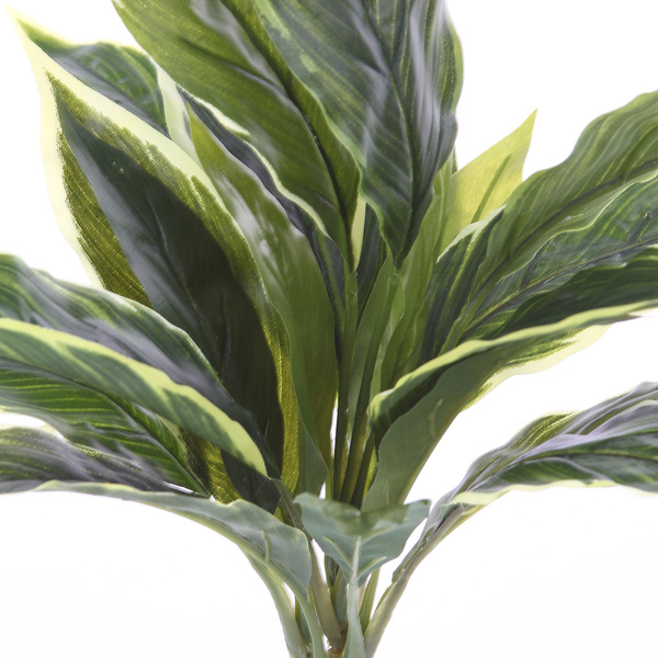 Sztuczna Kordylina 30 cm białozielona