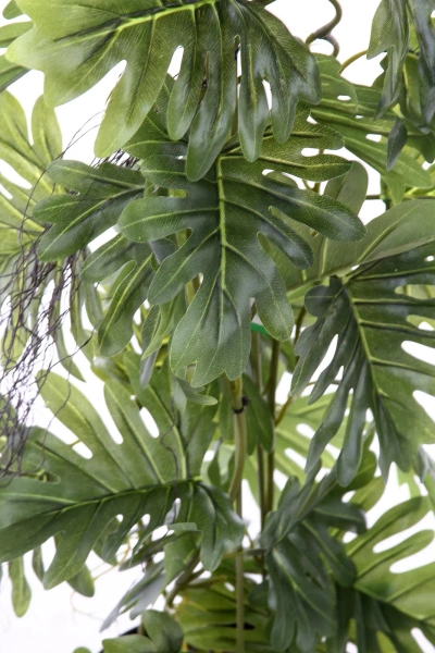 Sztuczny Filodendron na pniu 80 cm