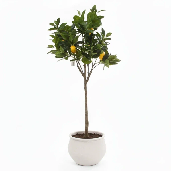 Sztuczne drzewko cytrynowe 120 cm