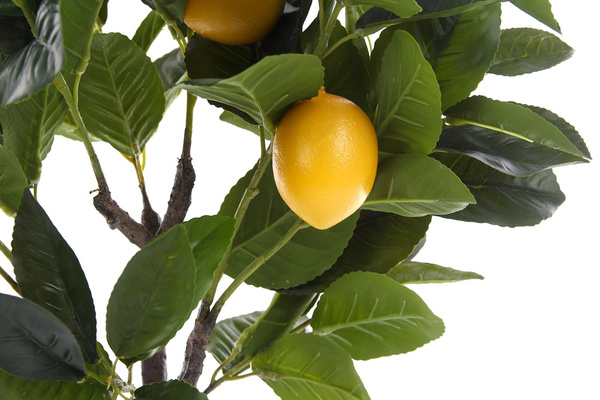 Sztuczne drzewko cytrynowe 70 cm