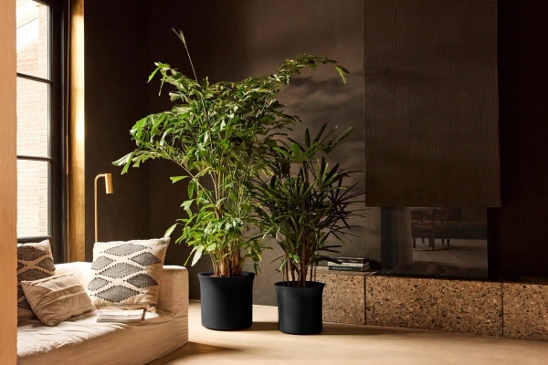 June Tulip 47/43 czarna donica do ogrodu