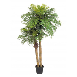 Sztuczna Palma Phoenix wysoka 195 cm 2 pnie rozłożysta