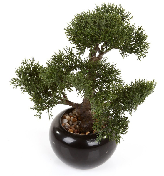 Sztuczne drzewko Bonsai Cedr 34 cm w czarnej ceramicznej doniczce