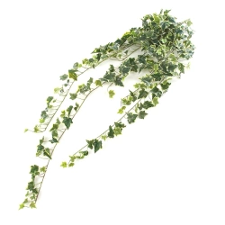 Sztuczny bluszcz zielono-biały busz 120 cm