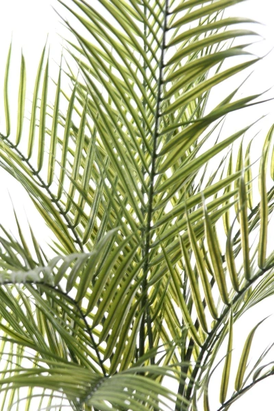Sztuczna palma Areka 180 cm UV