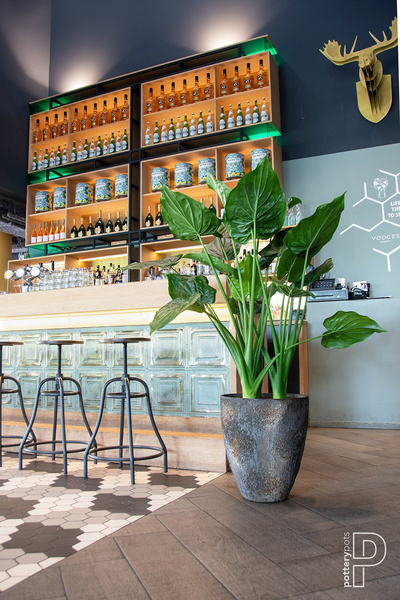 Bernd S 33/37 naturalna brązowa donica ostryga / oyster