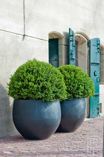 Orb Natural M 53/44 szara duża donica kulista kamienna