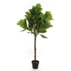 Sztuczny Fikus Lyrata dębolistny 150 cm