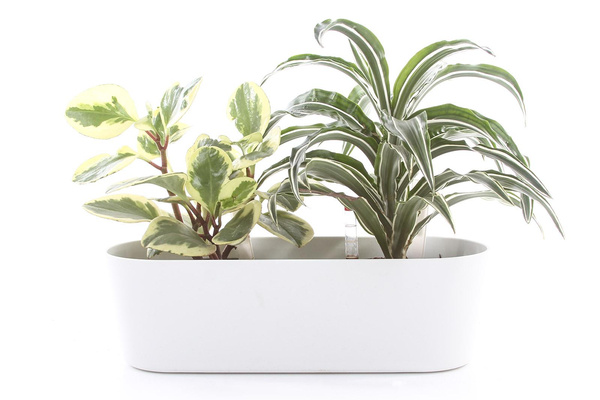 Zestaw do hydroponiki 9/7 osłonka podłużna Flori 27x10/8 biała