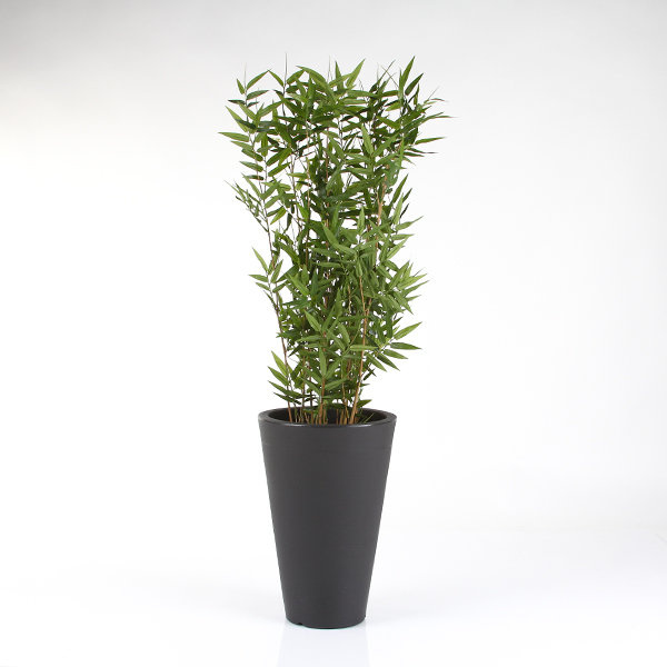 LISCIO SIENA 27/40 doniczka antracytowa