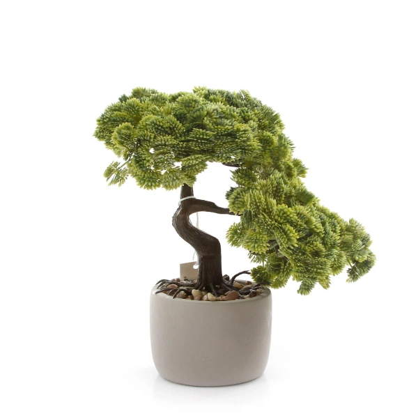 Sztuczny Bonsai Sedum Multiceps 25 cm w cementowej doniczce