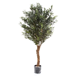 Sztuczna Oliwka 155 cm na grubym pniu deluxe