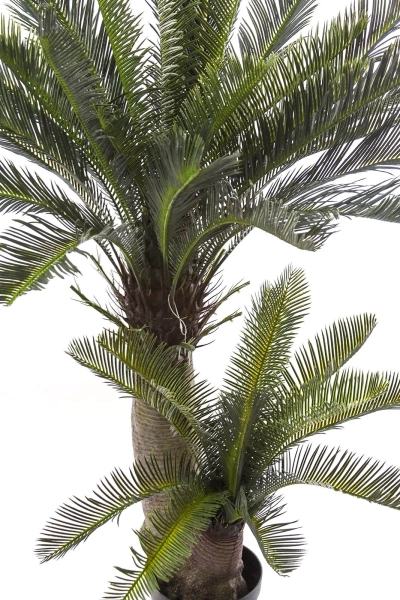 Sztuczny Cycas 145 cm 42 liście UV