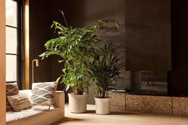 June Tulip 39/36 beżowa osłonka do salonu balanced beige