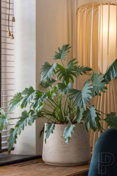 Patt XL 23/19,5 doniczka kamienna złota metalik