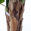 Sztuczny wysoki Bananowiec 150 cm