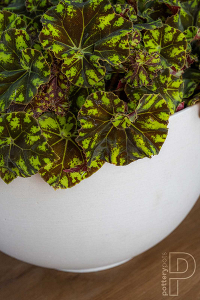 Peter S 20/12 doniczka misa kamienna beżowa biała naturalna