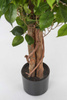 Sztuczne drzewko Fikus Benjamina 120 cm na naturalnym drewnianym pniu