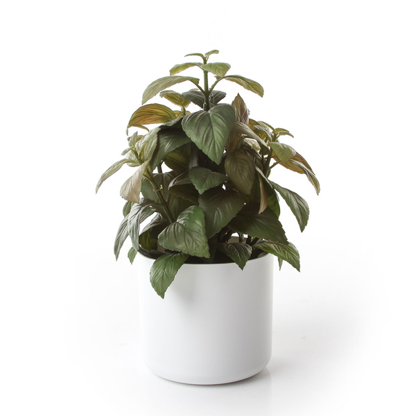 ONO 13/12 osłonka cylindryczna biała