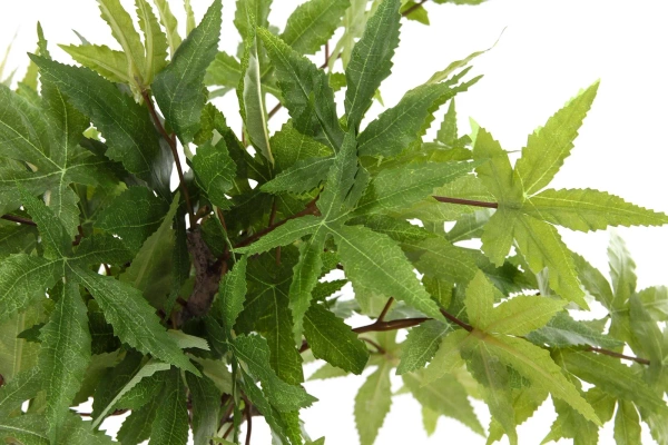 Sztuczny Bonsai Klon 50 cm zielony w doniczce