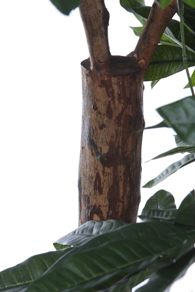 Sztuczna Pachira 175 cm d85 cm