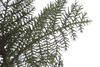 Sztuczny bonsai jodła 73 cm